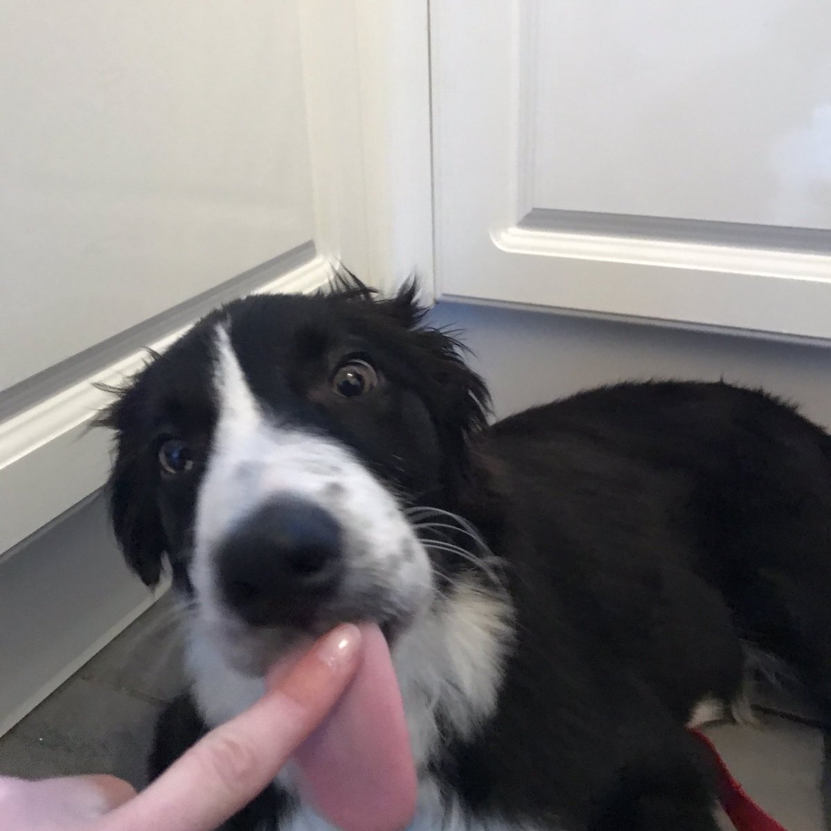 colettegibbons's tweet image. 