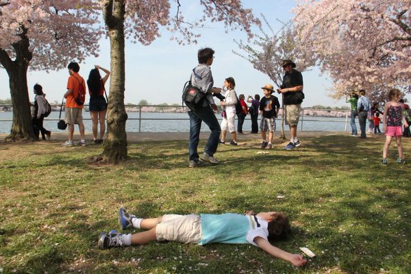 Tips to avoid meltdowns &amp; survive #kids tantrums! ow.ly/L2Sdx #parenting