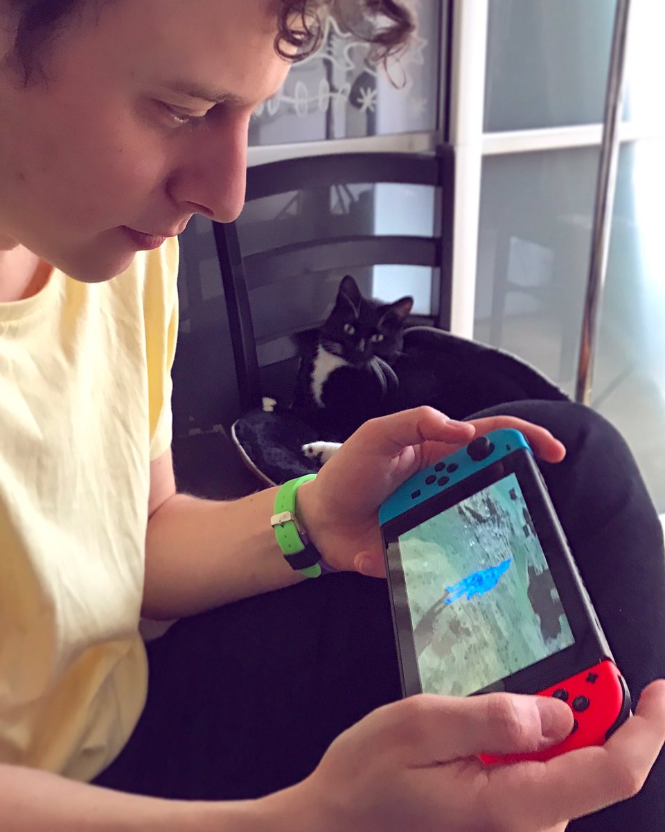 NormanDesVideos's tweet photo. Nintendo Switch + Zelda 🛡🗡 C'est parti pour jouer de manière infinie... (merci @laboitecom) https://t.co/U3NHe1ezhC