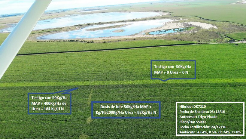Ensayo Fertilización en Maiz. Habla por si sola...
