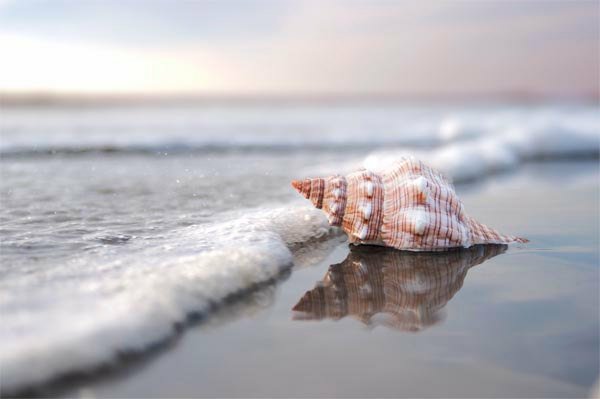 chrctraesthetic's tweet photo. Moana
- loves the sea
- funny and lovely
- didn't took the path her family had chosen for her
- saved the world https://t.co/LoKfaxKKGs