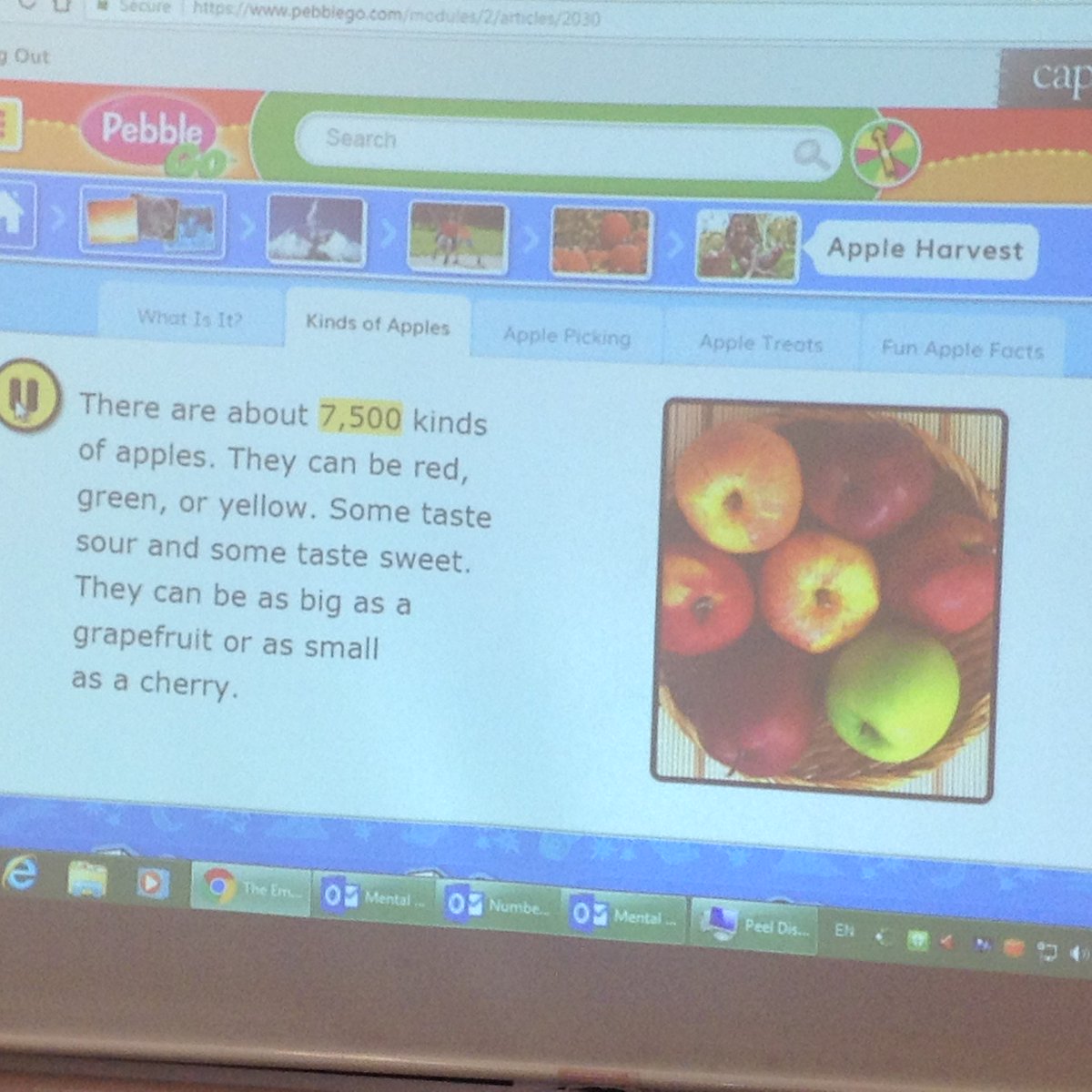 VediChoprasGr2's tweet photo. 5,4,3,2,1, Crunch!!! Those apples were awesome! We learned some interesting facts about apples too! @ThornwoodPS #thebigcrunch #FoodShareTO https://t.co/igxqrZpUcO