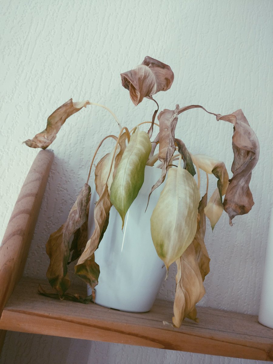 Nachdem Fasten bei mir nicht so wirklich klappen wollte, fastet jetzt einfach sie für mich mit! Gut machst du das, weitermachen! 😈