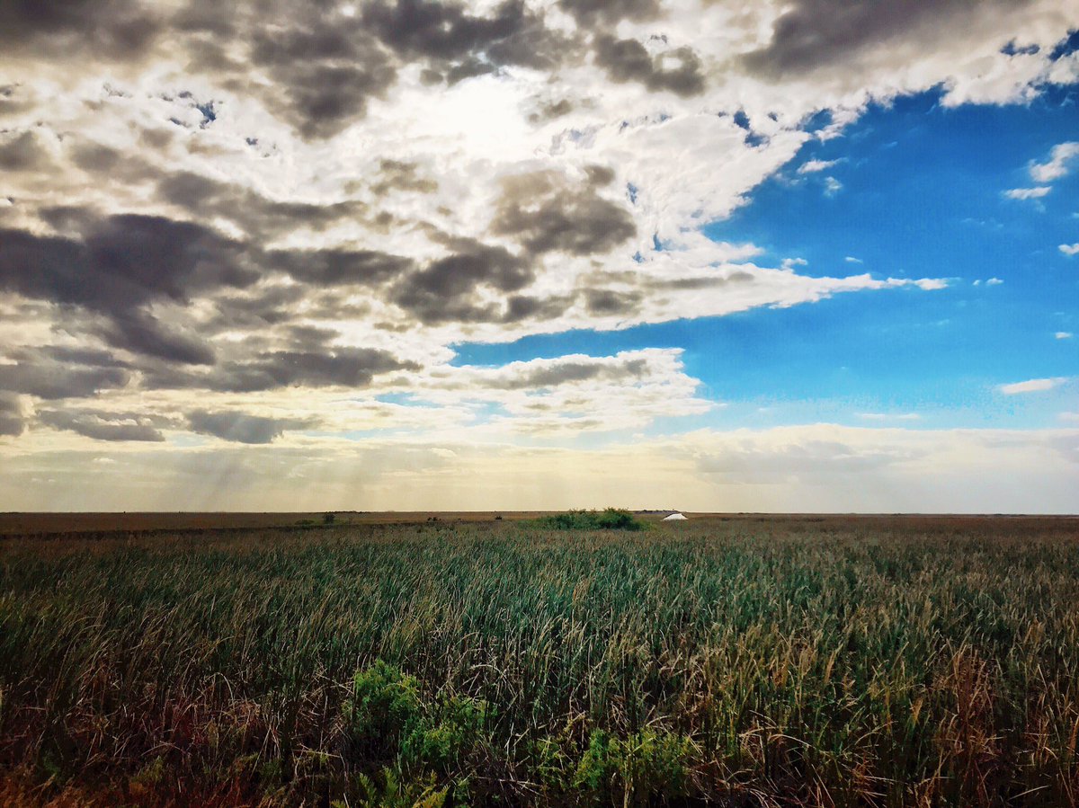 aliwithaneyeX's tweet photo. There is no place on earth like the #Everglades ๐๐พ #AliWithAnEye #Explore #CoralSprings #Florida https://t.co/2jHsHYo2Yn
