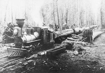 NorwoodSawmills's tweet photo. Meet "Old Curly" - the first steam locomotive used for logging in BC to help construct the CDN Pacific Railroad (circa 1910 - 1914). https://t.co/fFcbPRevfr