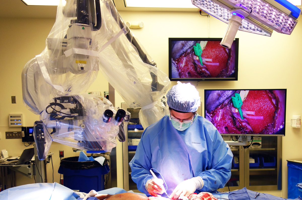 Dr. Daniel Liu tweet media