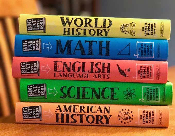 DeliciaWitherow's tweet image. The Everything You Need to Ace series is like borrowing notes from the smartest kid in class

bit.ly/2njZqgG