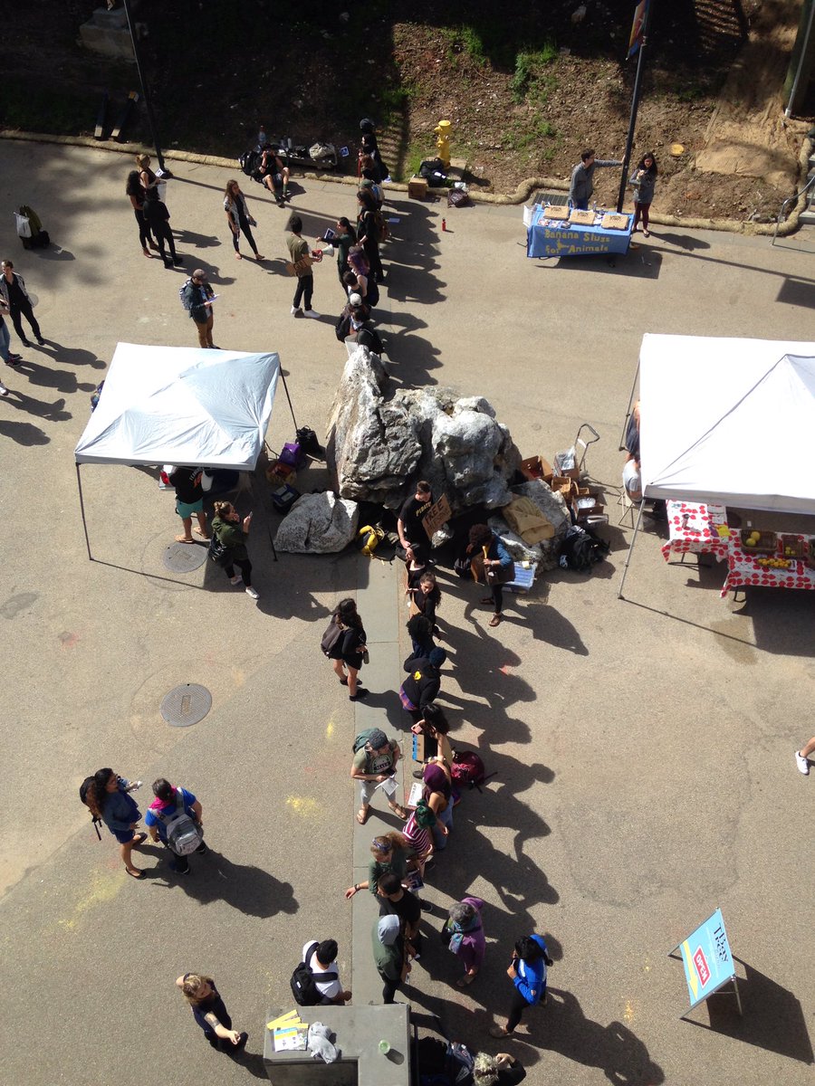 Around 40 students assemble in a mock Israeli border checkpoint intended to raise awareness about Israeli occupation of Palestine.