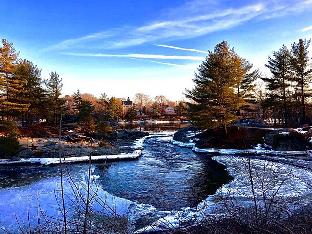 Bowdoin College tweet media