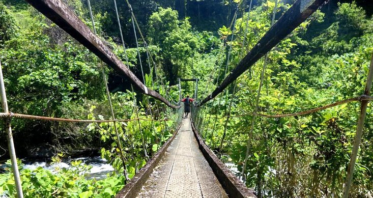 Fiji's 'garden island' is the 5km long Lavena Coastal Walk ending at the spectacular Wainibau Waterfalls🍃🌴  bit.ly/2mGNeae