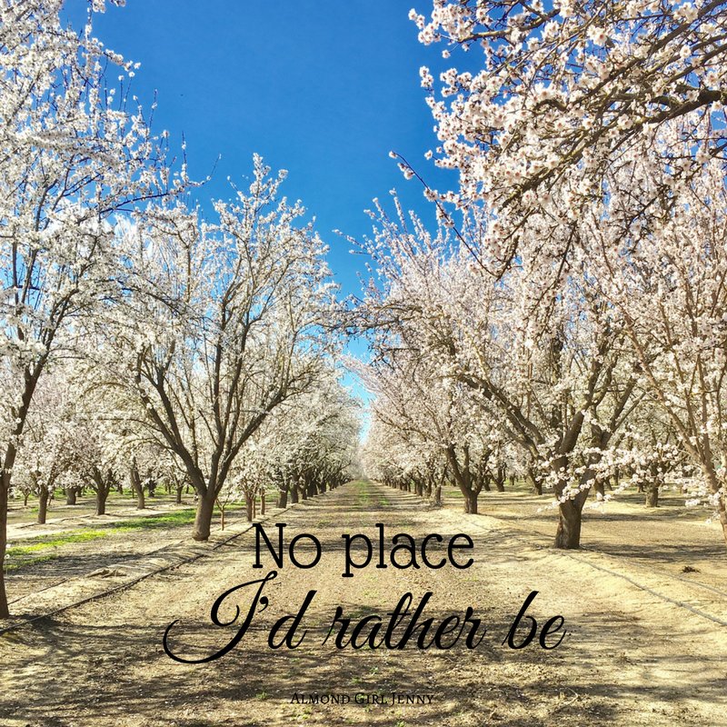 No place I'd rather be...on the farm is where you'll find me! #almonds #almondbloom #familyfarm #beauty #naturesgift