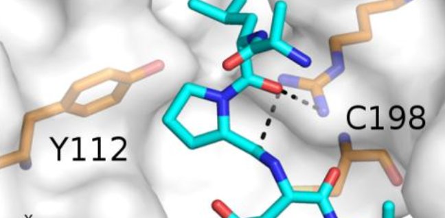jbiolchem's tweet image. Sortagging made easier: Characterization of a new Ca2+-independent sortase expands the #ligation  toolkit. #methods bit.ly/2lZSggy