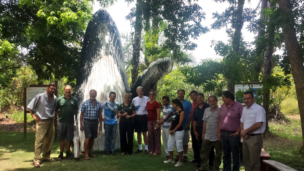 CCO-Antártica tweet media