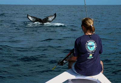Estrategias regionales para la conservación de cetáceos con @IBaleiaJubarte <a href="/CCO_Antartica/">CCO-Antártica</a> <a href="/FMalpelo/">Fundación Malpelo</a> <a href="/MinAmbienteCo/">MinAmbiente Colombia</a>