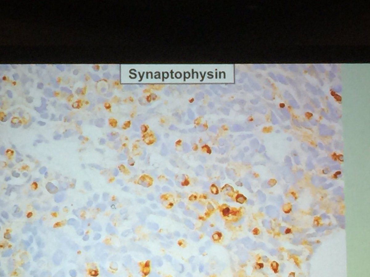 Dr. Victor Prieto tweet media