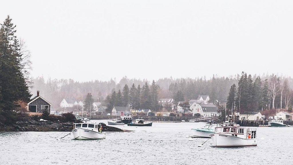 MFPHOTO's tweet photo. Quiet moments along the Maine coast https://t.co/gTrmdm4jfz https://t.co/NwRmlsak6S