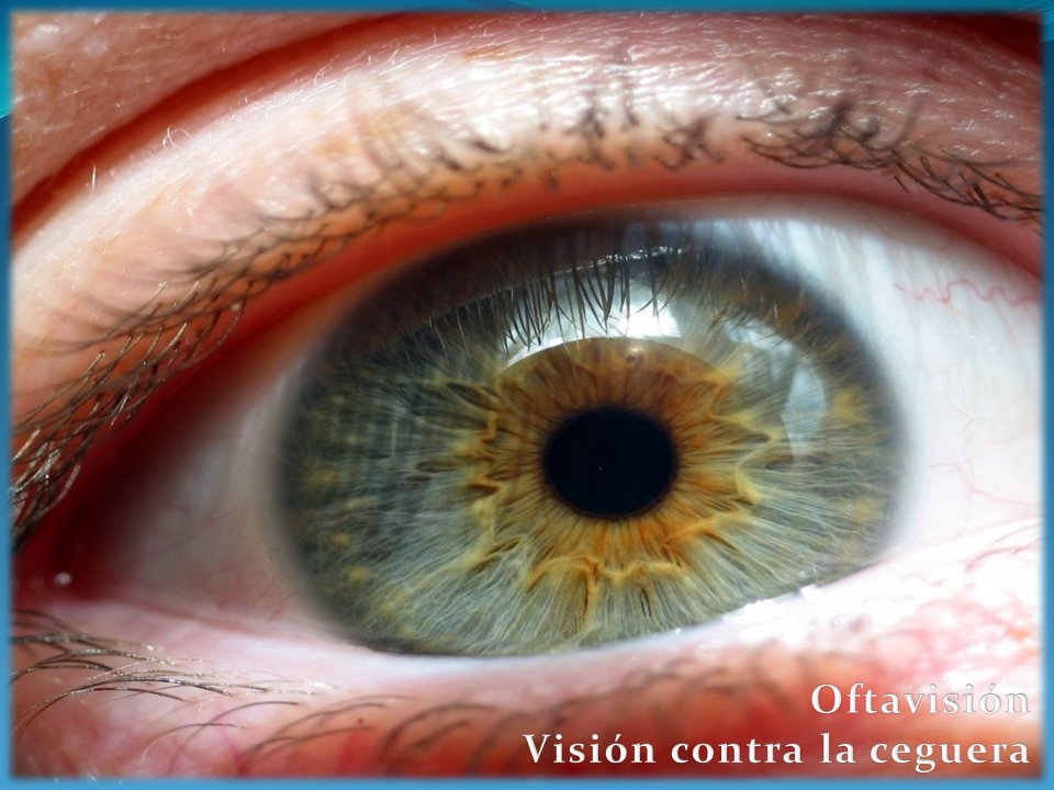 Cuando la luz se apaga...

oftavision.com.mx/cuando-la-luz-…