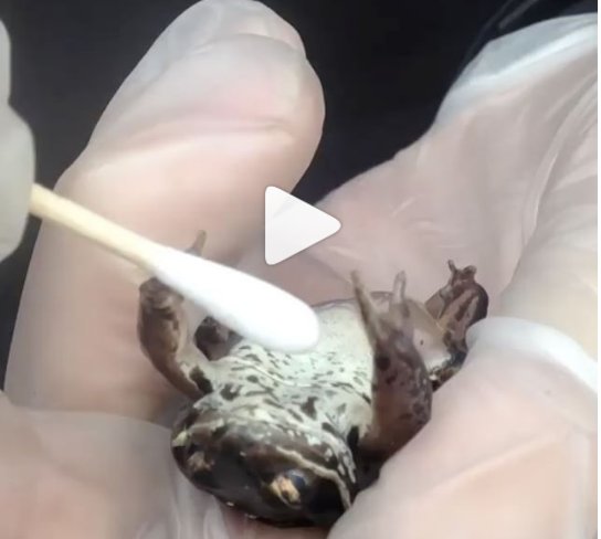 Peggy Notebaert Nature Museum tweet media