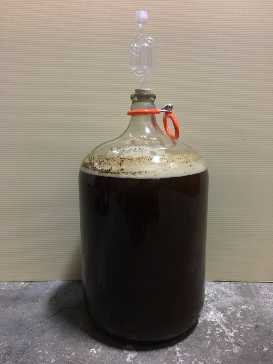 Bosa_Grape's tweet photo. It's day 3 of fermentation for our Munich Dark Lager and things are looking good! #bosagrape #brewhouse #beerkit #makingbeer https://t.co/i90n7m8lVI