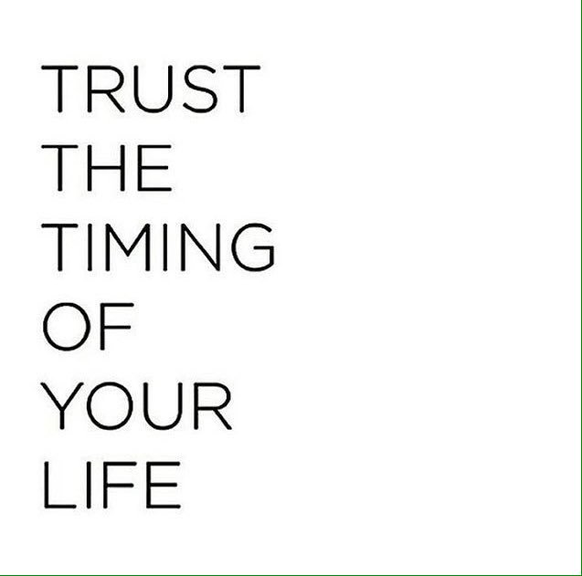 danicfcastro's tweet image. Trust the timing of your life. #motivation #selfnotes