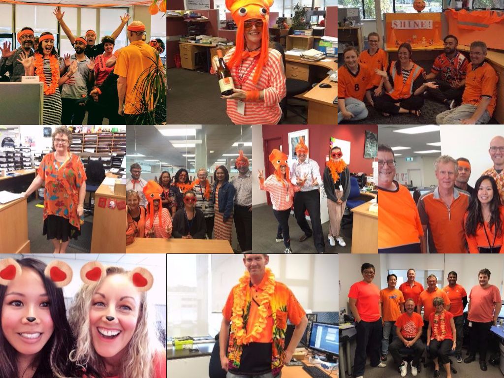 Fidelity Life Light It Orange and help raise money for @Shine_NZ @LightItOrange #helpthemshine 
shine16.worldsecuresystems.com/donate-now