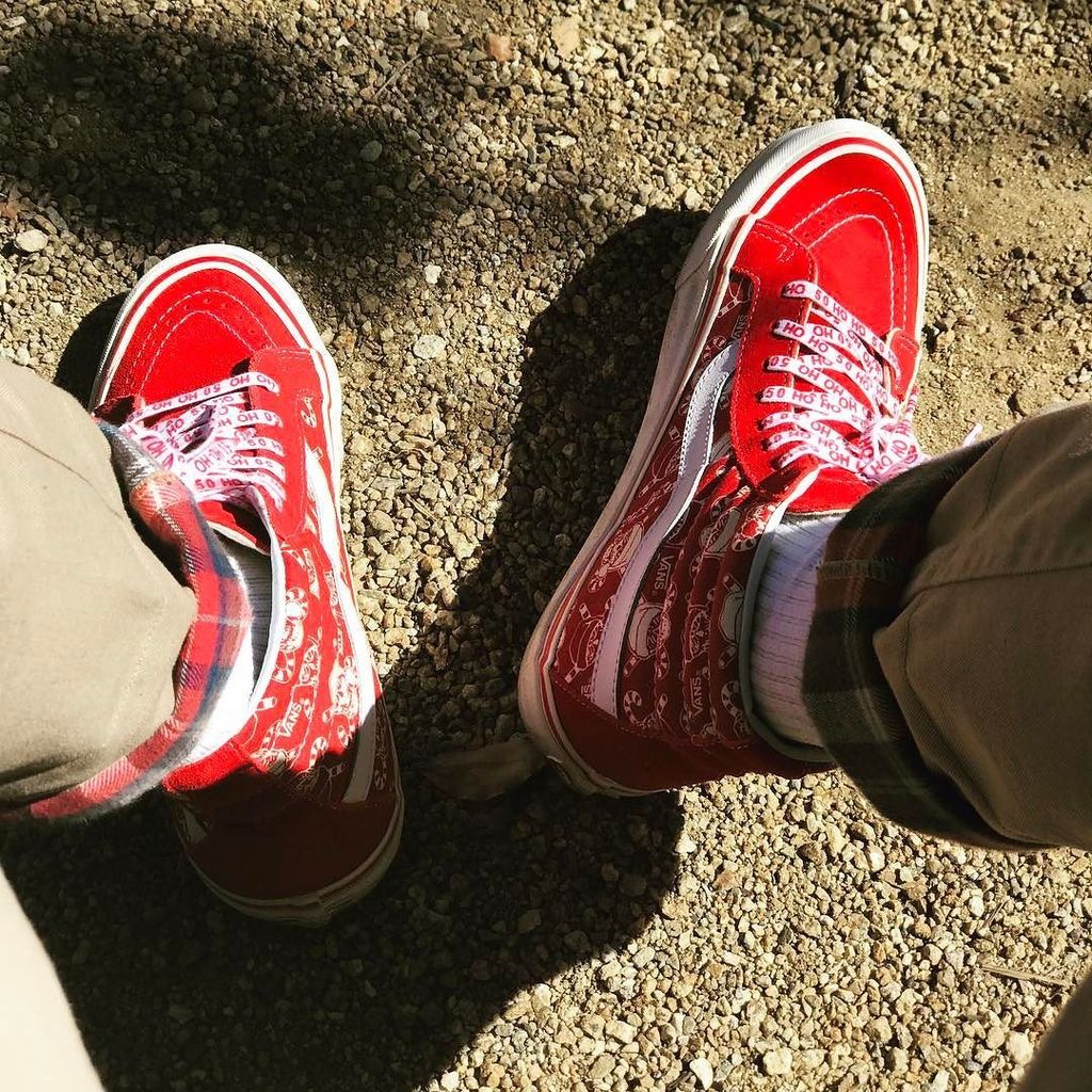tony hawk vans shoes