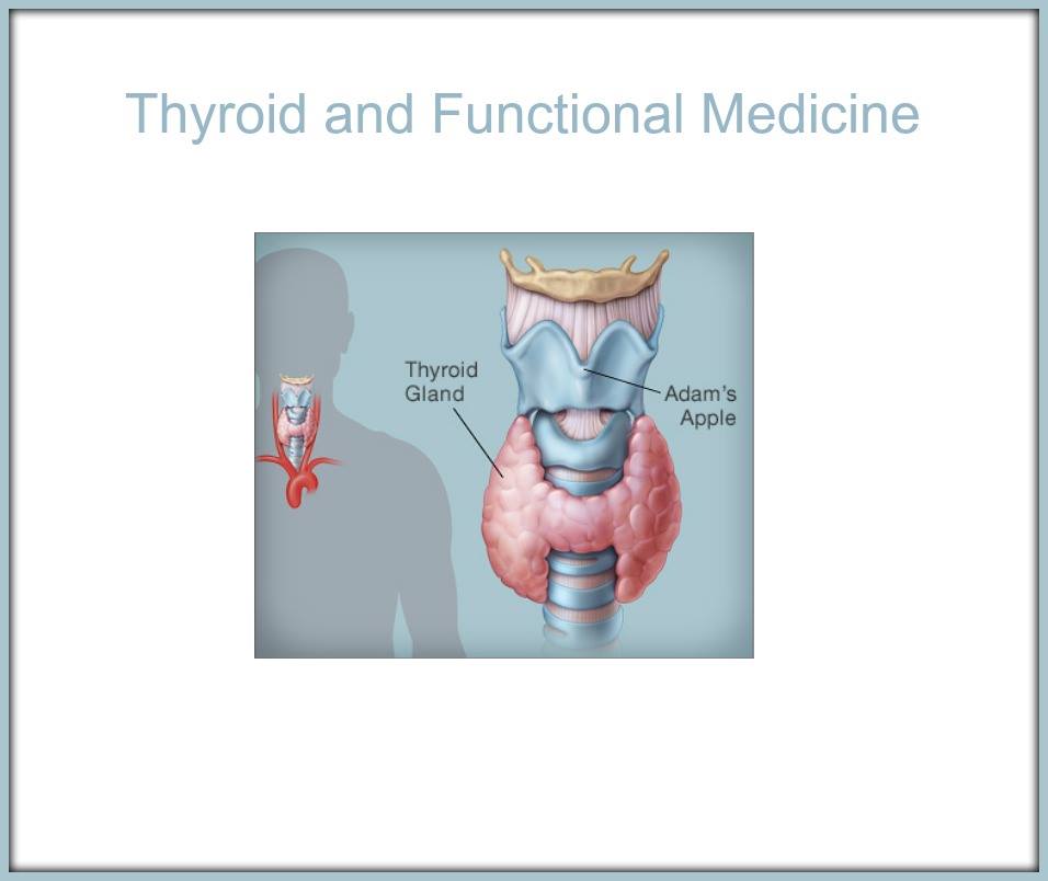 IntWell_Center's tweet image. Thyroid and #Functional #Medicine The thyroid gland produces #hormones that influence many different #processes. drrichajoy.com