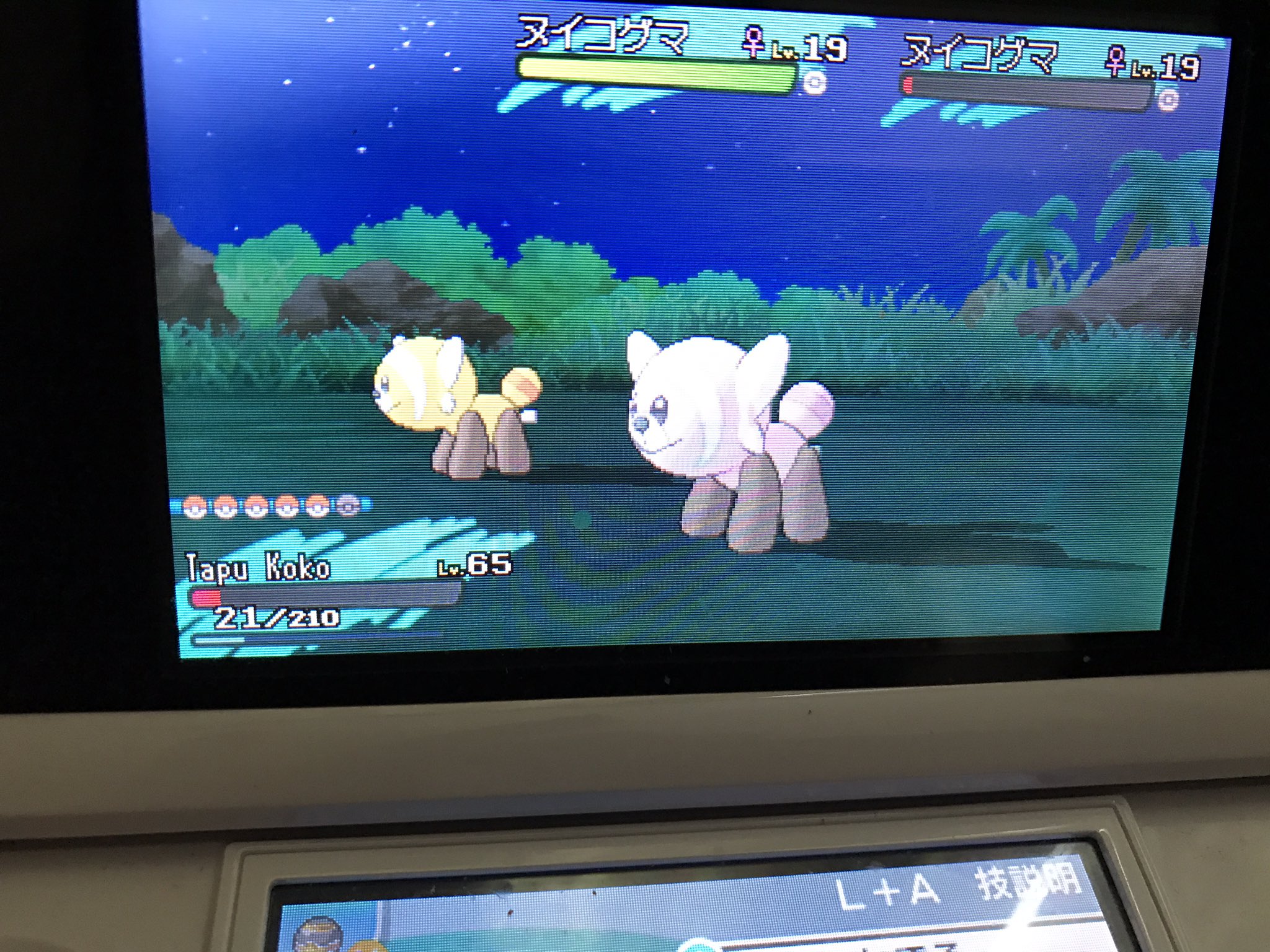 みー ポケモン色違い収集 ヌイコグマ 150連鎖くらいのあと1回目出現時間違って逃げてしまい悔しさから絶対捕まえてやる と意気込んでから 意外と50くらいで出ました またシンクロきかずようき 特性メロメロボディ ポケモンsm ポケモン色違い 助け