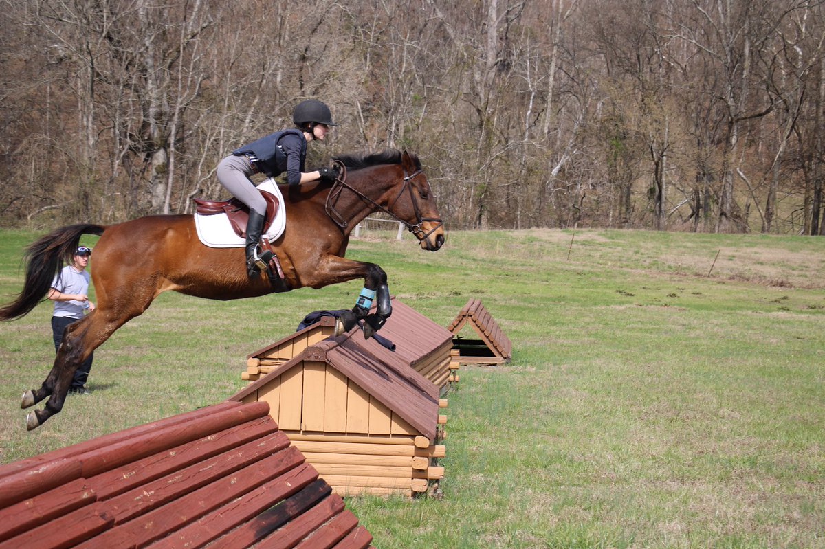 eventing is too fun guys everyone needs to try😍