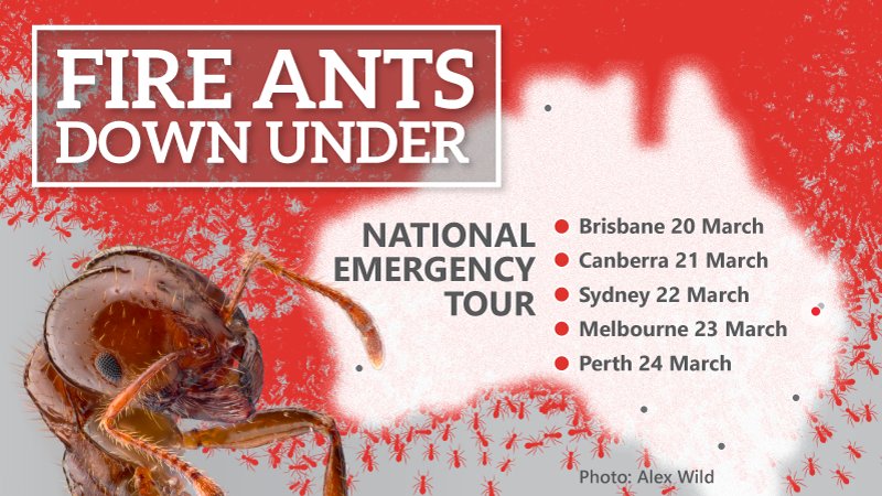 ISCAustralia's tweet photo. Texan #fireants expert Dr Robert Puckett coming to Australia. His msg: we must eradicate fire ants now. Book here: https://t.co/8AD0mKWmci https://t.co/ZXoh8supqQ