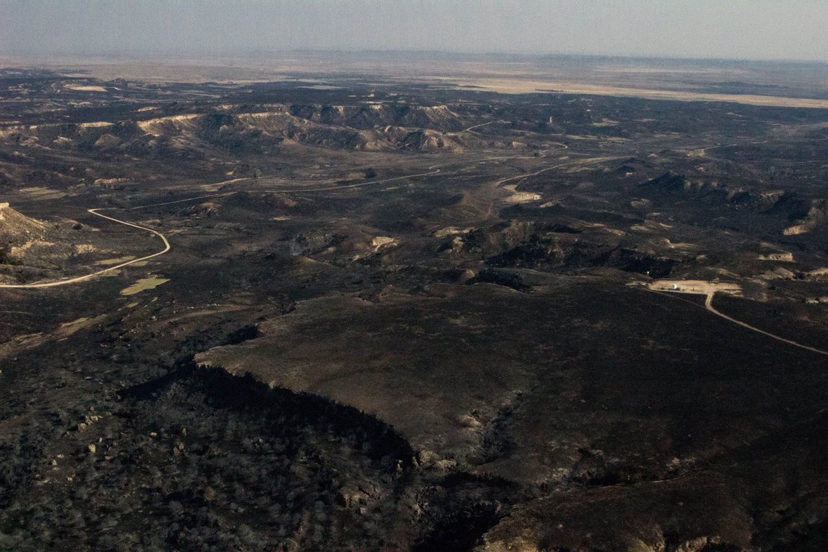 DroversCTN's tweet photo. Thousands of cattle killed or displaced by this week’s tragedy #KansasFire #TexasFire https://t.co/NU2pgmpT0v https://t.co/narCYP0CoB