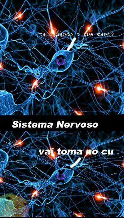 TVCaboNegro's tweet photo. Raio X identifica novo sintoma do ataque do chupa-cu. Perturbações no sistema nervoso são a nova descoberta. https://t.co/WFlEq3lOAu