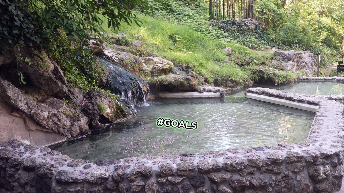 Hot Springs tweet media