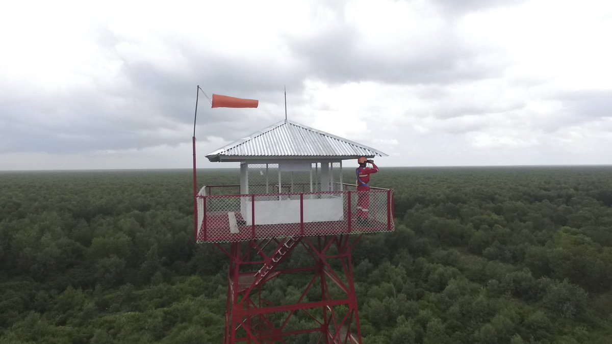 Detiksumsel_'s tweet image. Berburu Titik Api 11 Jam Sehari di Ketinggian 25 Meter. detiksumsel.com/berburu-titik-… . #firefactor @AsiaPulpPaperID @jokowi @DB_Sinarmas