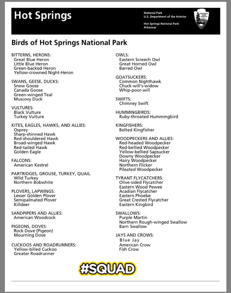 Hot Springs tweet media