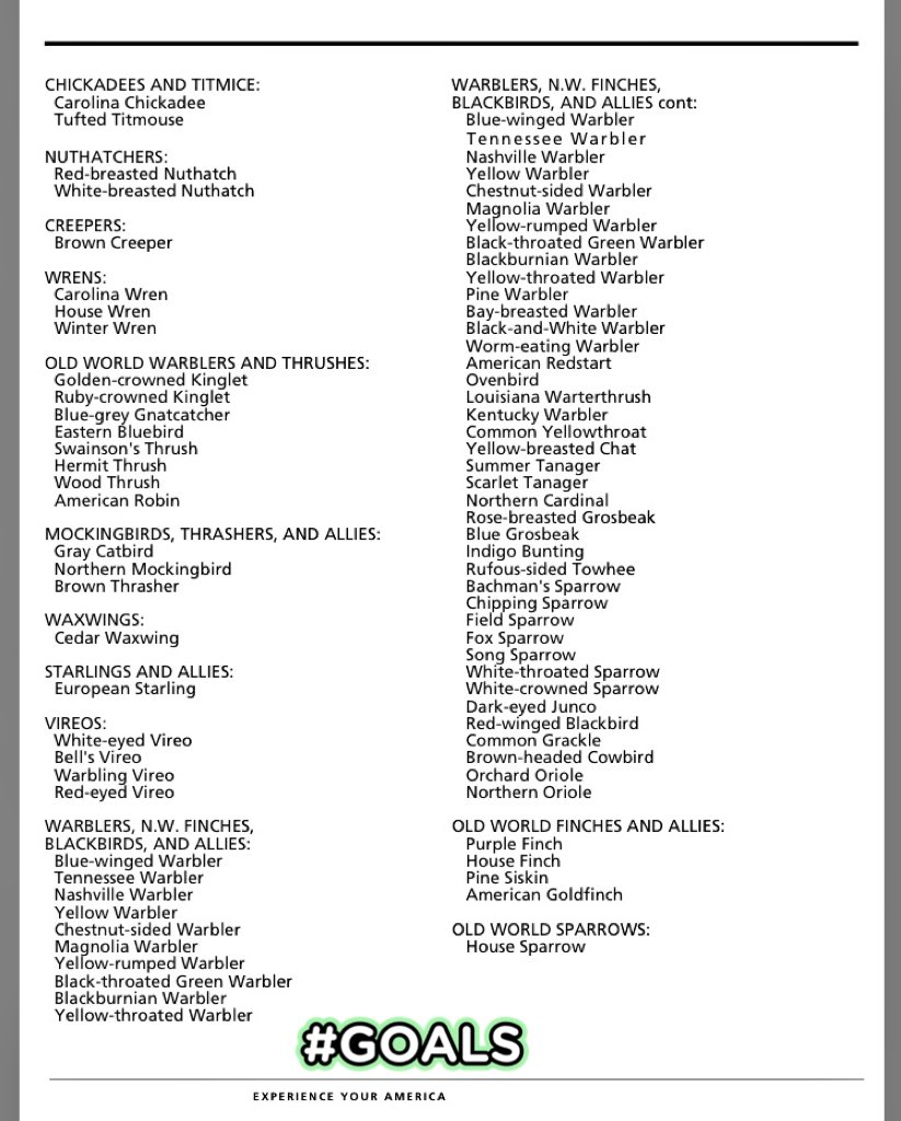 MAJOR KEY ALERT! HSNP has a wide variety of birds! peep the list #squadgoals #diversityworks #whycantweallbefriendslikethebirds#birdnoises