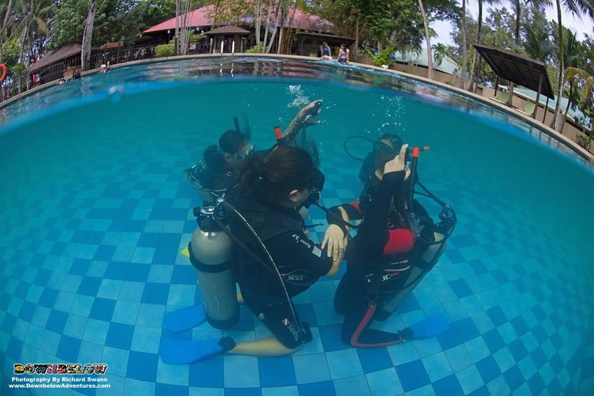 divedownbelow's tweet photo. We provide a safe and super fun learning environment for our PADI courses - #Learn2Dive today at @divedownbelow! https://t.co/ULm5k7wrO9 https://t.co/wOaUhNUfIc