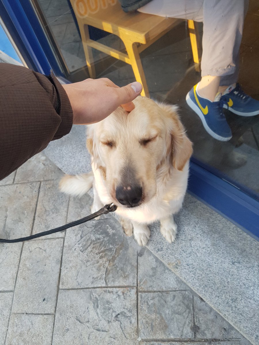 대한독립 만세~
#탄핵