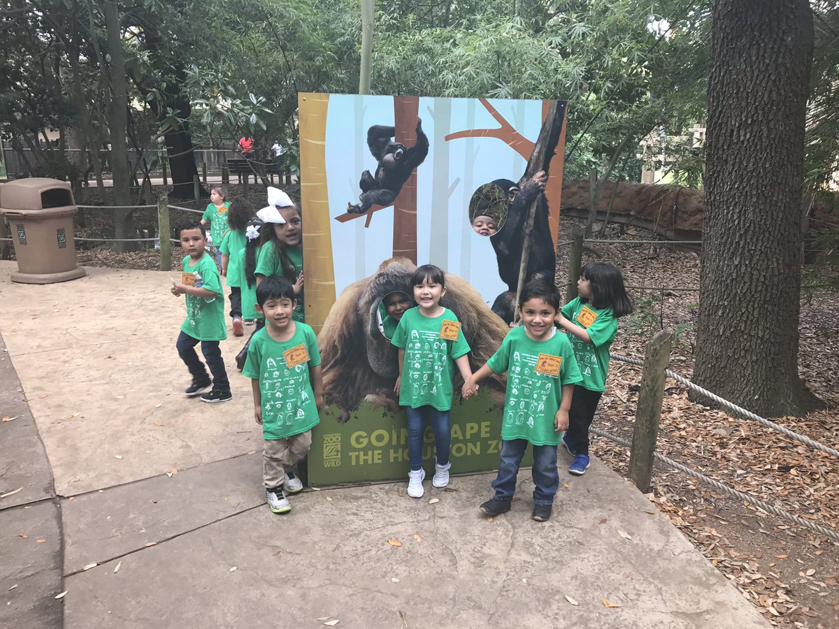 ItsMrs_Gonzalez's tweet photo. Our class enjoyed the zoo! Nuestra clase disfruto el zoológico! 🐅🐘🦍🐆@FARIASECC #prek #science #zoo #gonzalezclass https://t.co/hJ4sjx37qJ