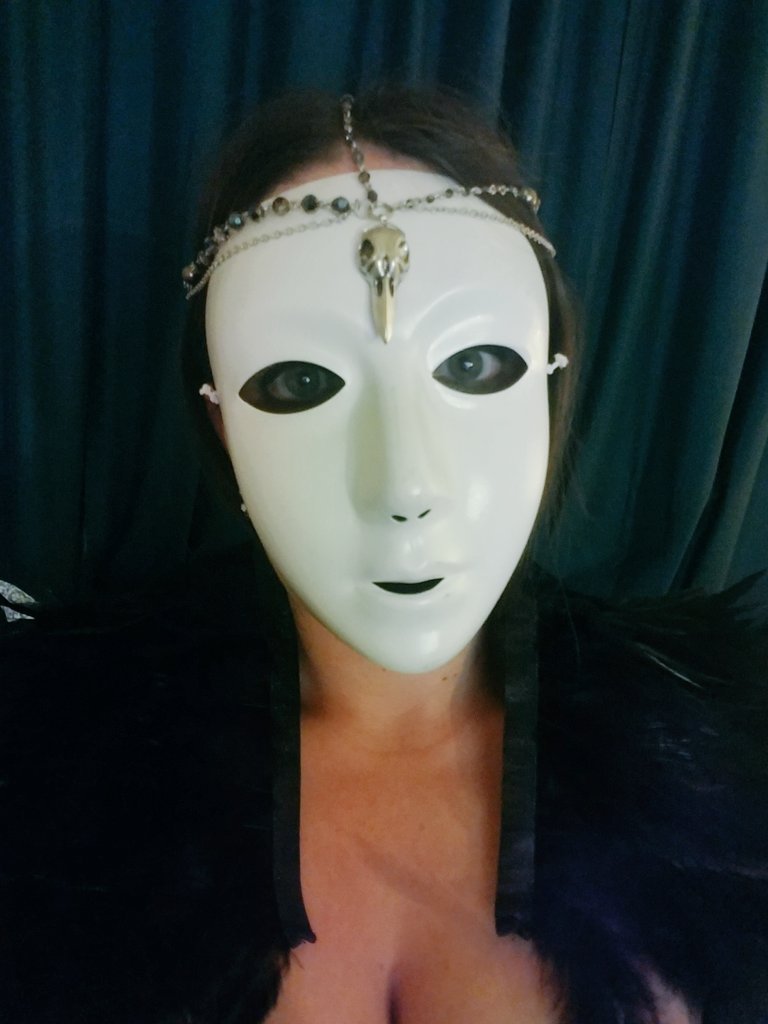 mskimmyd85's tweet photo. Ready for tonight's #CriticalRole now... #RavenQueenLife #SaveVax #Critters https://t.co/F2CM5y4QjA