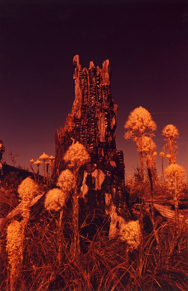 Selection of photos from Irina Rozovsky's ongoing series, “A Rock that Floats" > booooooom.com/2017/03/09/pho…