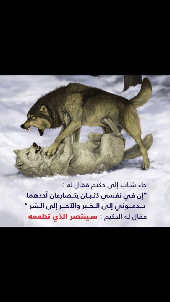 maghlosa's tweet photo. https://t.co/OamKFbH6kd