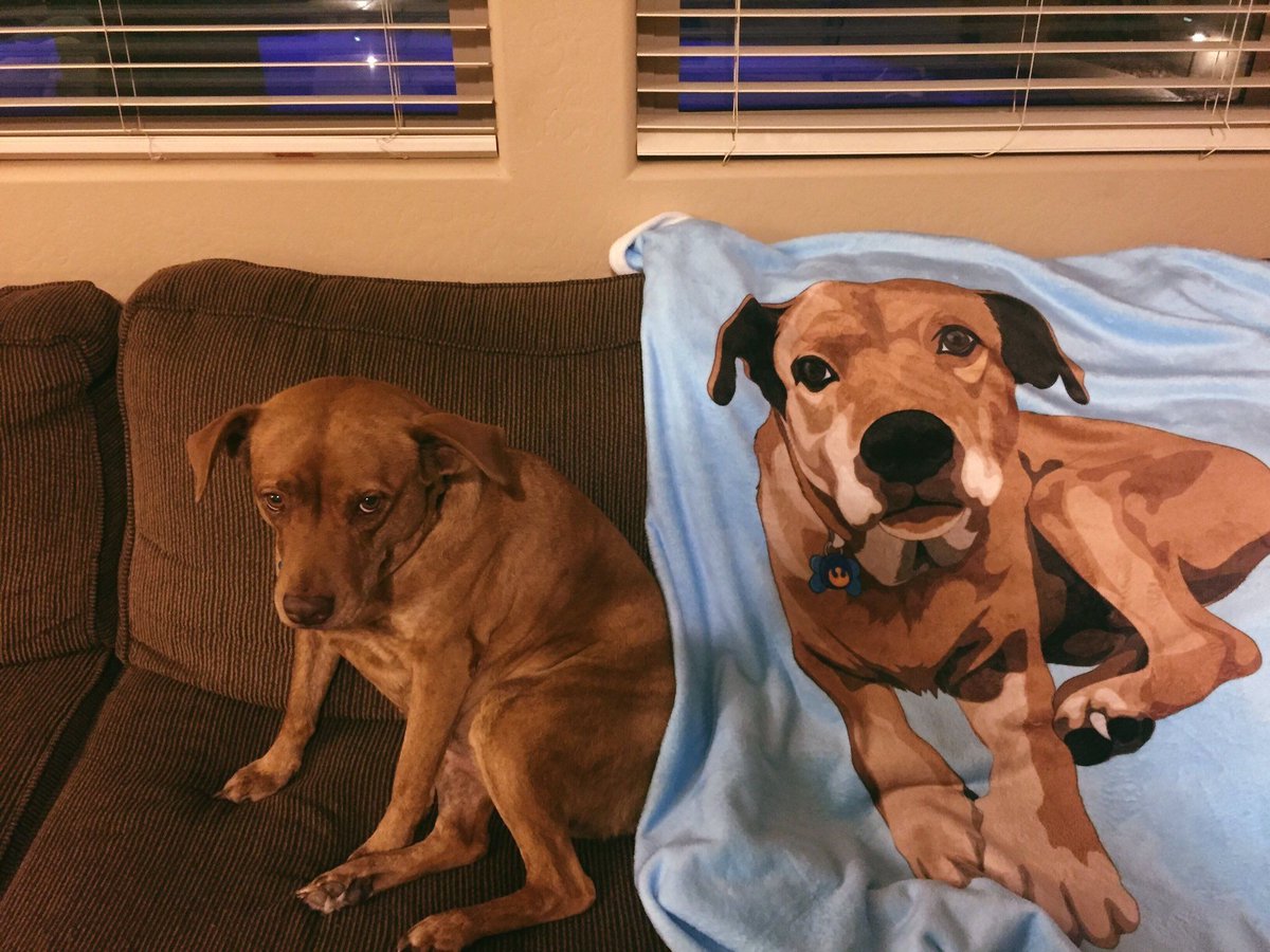 printyourpet's tweet photo. OBSESSED 😍 Print Your Pet to help save another! Each purchase helps save shelter pets!

Only @ https://t.co/CtqjL6fOat https://t.co/7hFqw2RH4M
