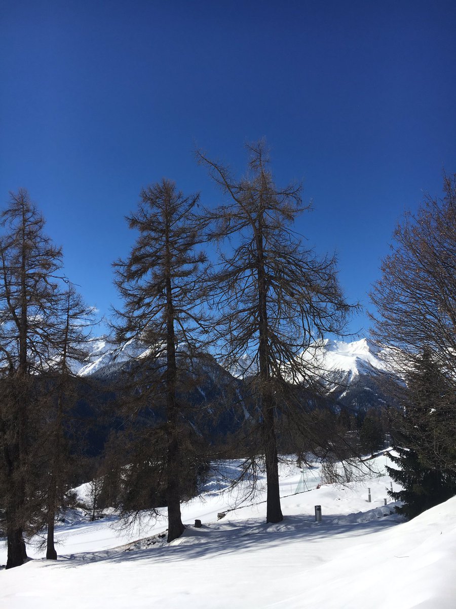 VinaiKopp's tweet photo. This is so gorgeous for a breakout room! #socratesCH https://t.co/EmTvmiv9Qu