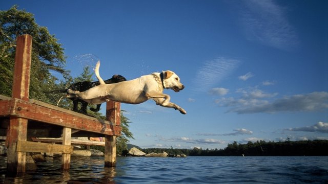 stevenhens's tweet image. It's official! @CiscoServices completed #ISO27001Certification across our business! All-in to protect YOUR #data! bit.ly/2m6XdEb