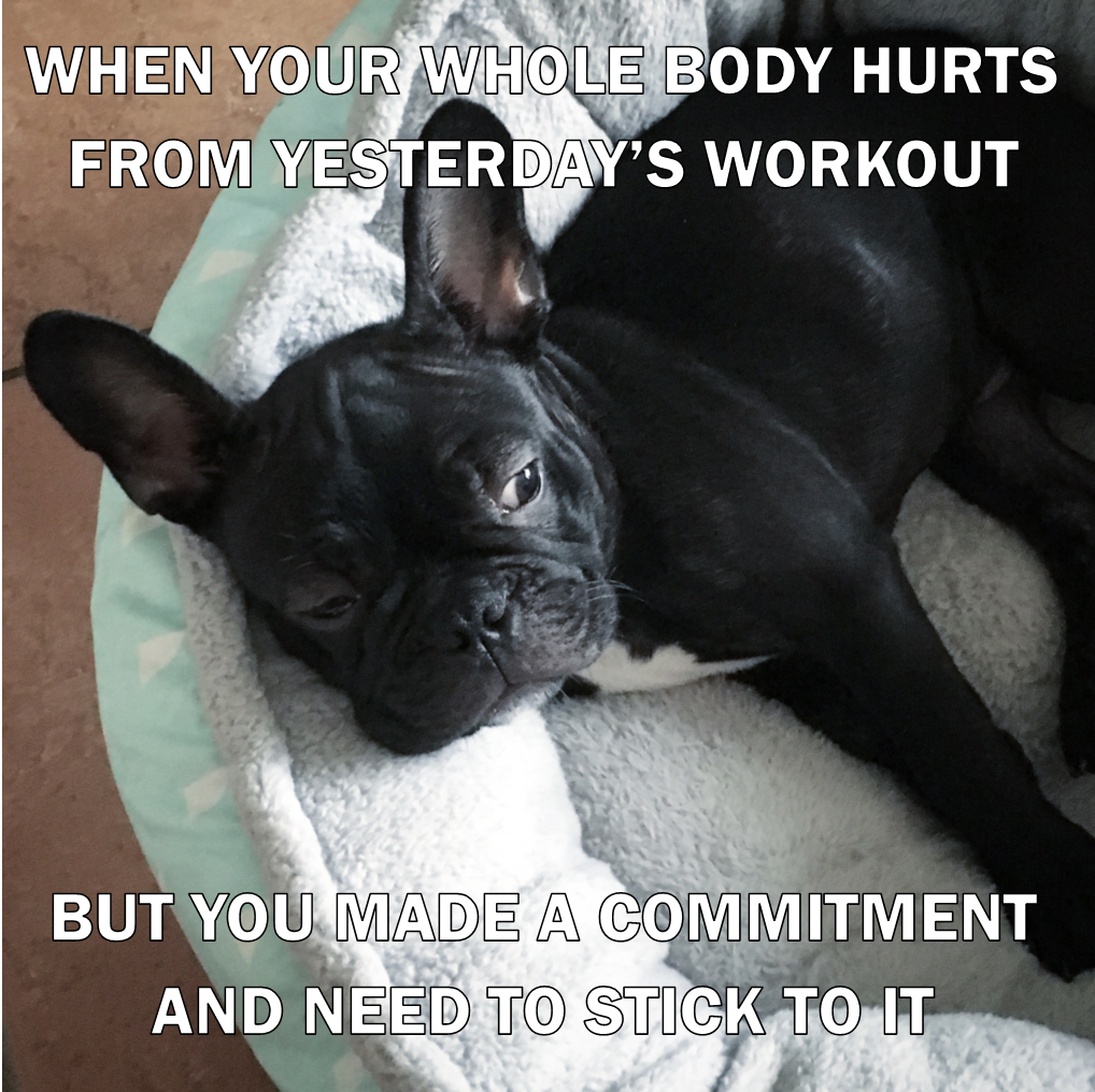 #FridayFunny for all our #TheMarchCharge Chargers!