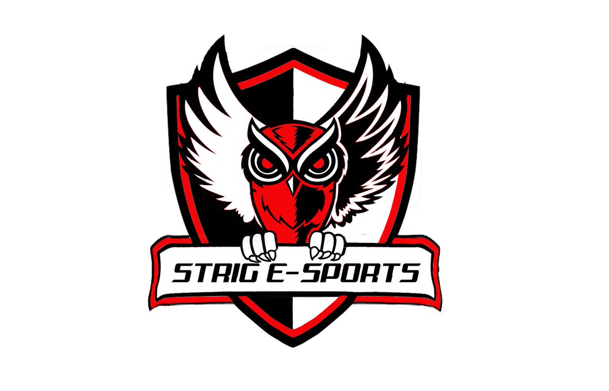 Strig_ESports's tweet photo. Also, new logo hype! #strig #artwork #graphics https://t.co/T2z9c26Uog