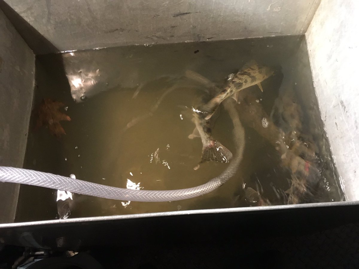 touhueyang's tweet photo. Ahh... Field work 😊. It's been awhile! #researchassistant#osu#aquaticecologylab#uwgbphoenixatheart https://t.co/oiAA5h5ghq
