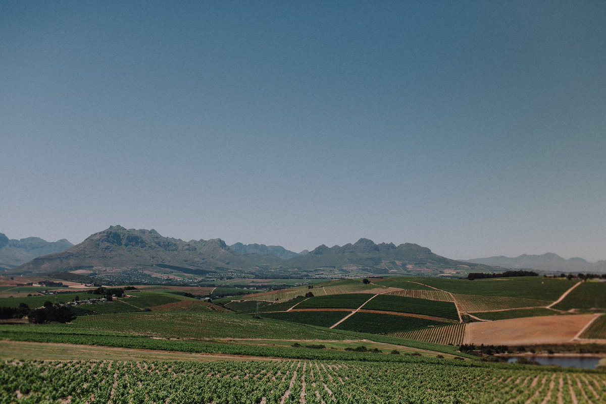 Landtscap tweet media