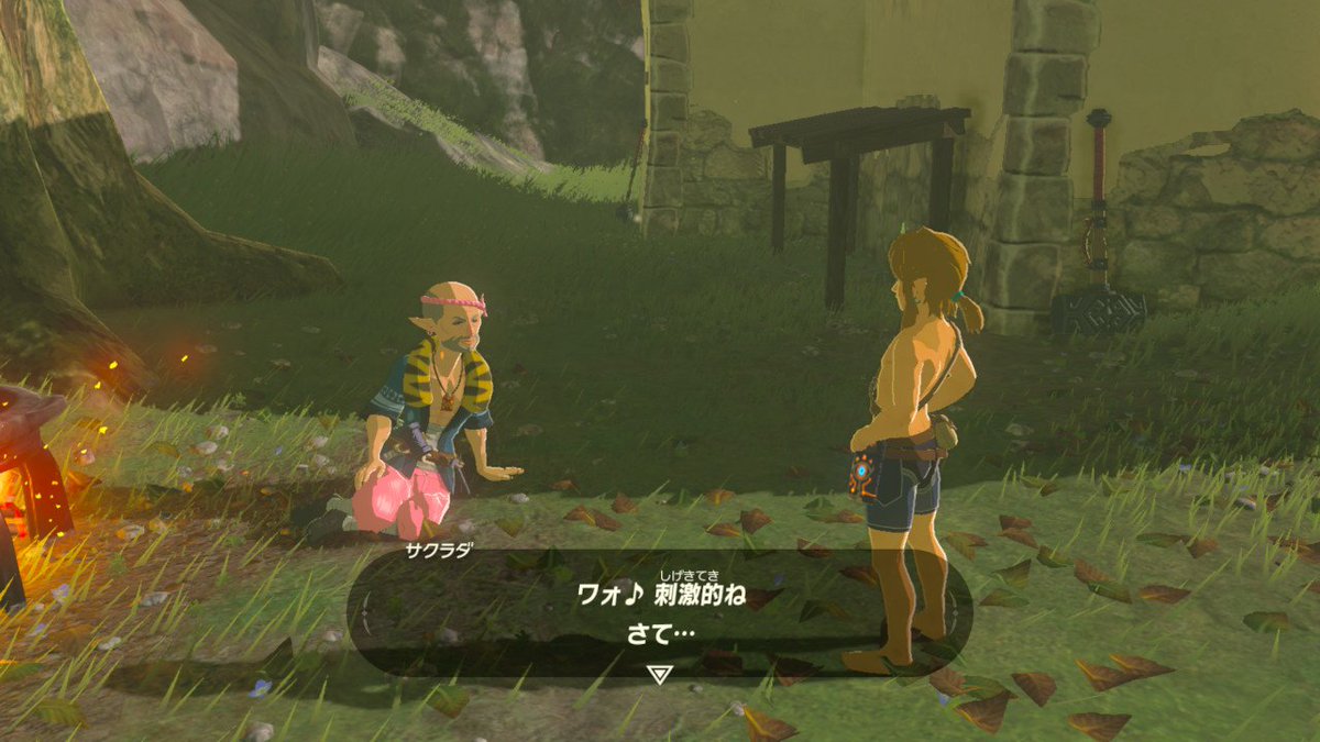 Wiiu Ns ゼルダの伝説 ブレス オブ ザ ワイルド Part 94 無断転載禁止 C 2ch Net